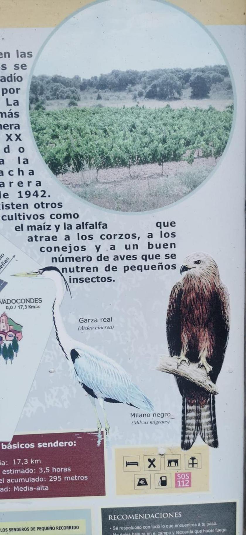 Chalet De Artistas Vadocondes Kültér fotó